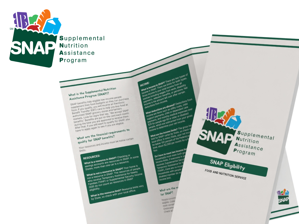 project: snap brochure